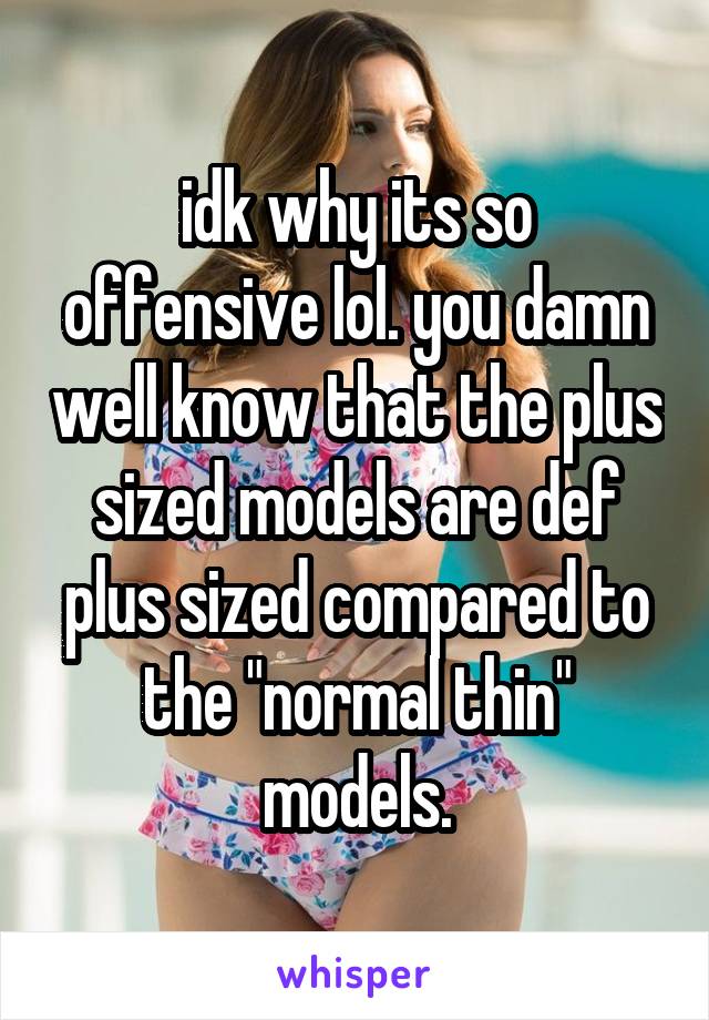 idk why its so offensive lol. you damn well know that the plus sized models are def plus sized compared to the "normal thin" models.