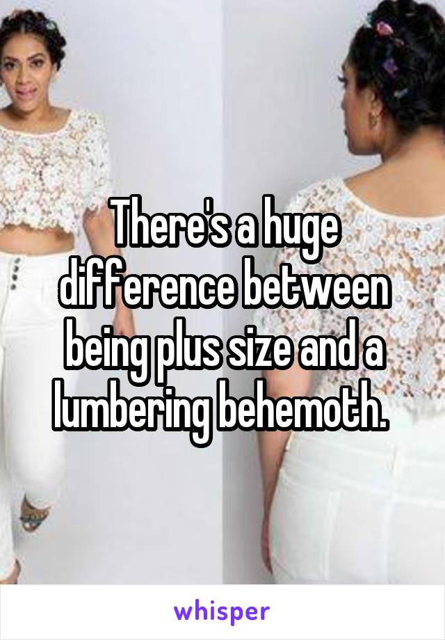 There's a huge difference between being plus size and a lumbering behemoth. 