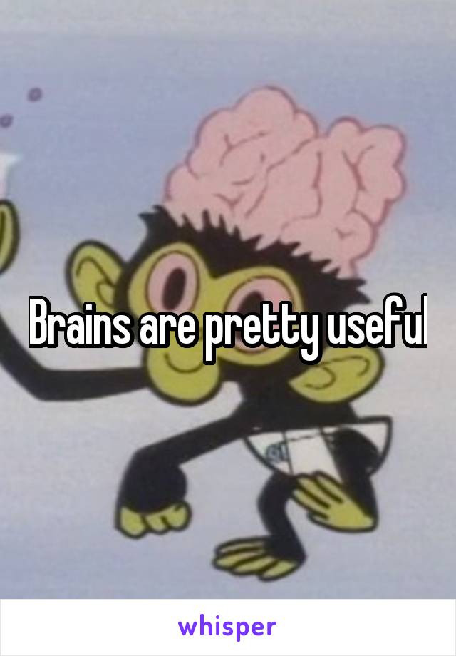 Brains are pretty useful