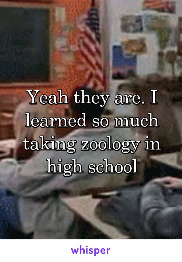 Yeah they are. I learned so much taking zoology in high school