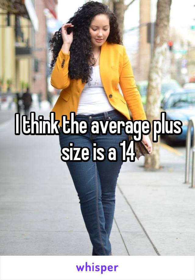 I think the average plus size is a 14