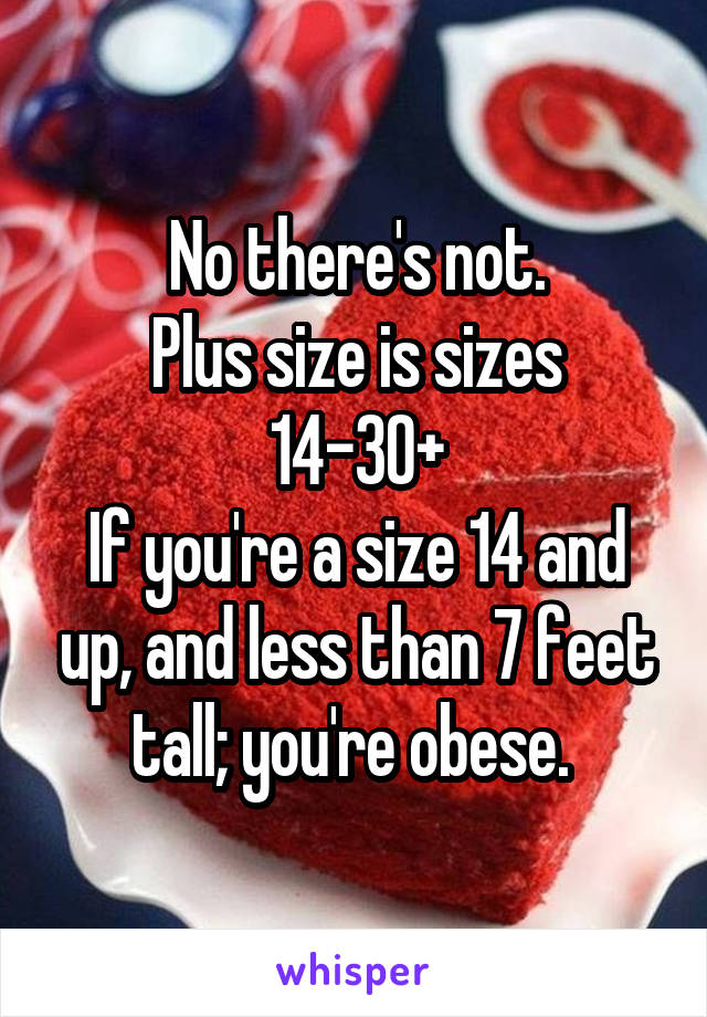 No there's not.
Plus size is sizes 14-30+
If you're a size 14 and up, and less than 7 feet tall; you're obese. 