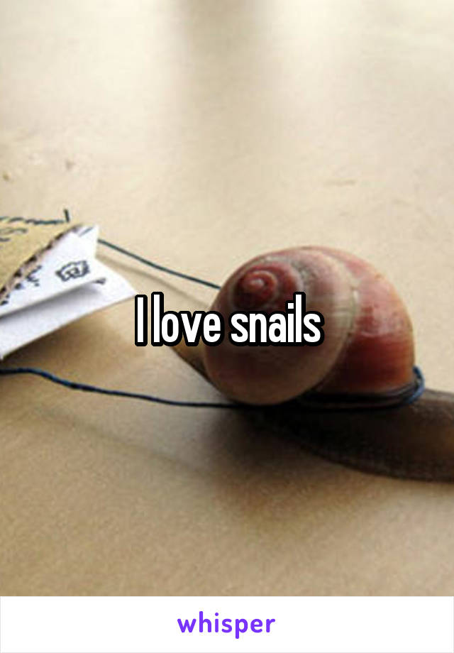 I love snails