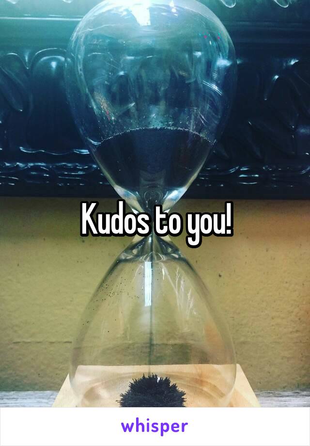 Kudos to you!