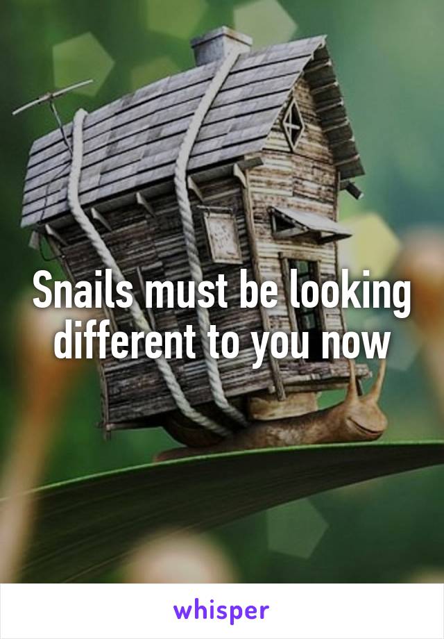 Snails must be looking different to you now