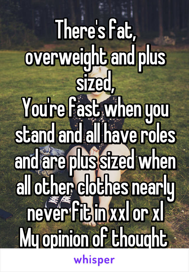 There's fat, overweight and plus sized,
You're fast when you stand and all have roles and are plus sized when all other clothes nearly never fit in xxl or xl
My opinion of thought 