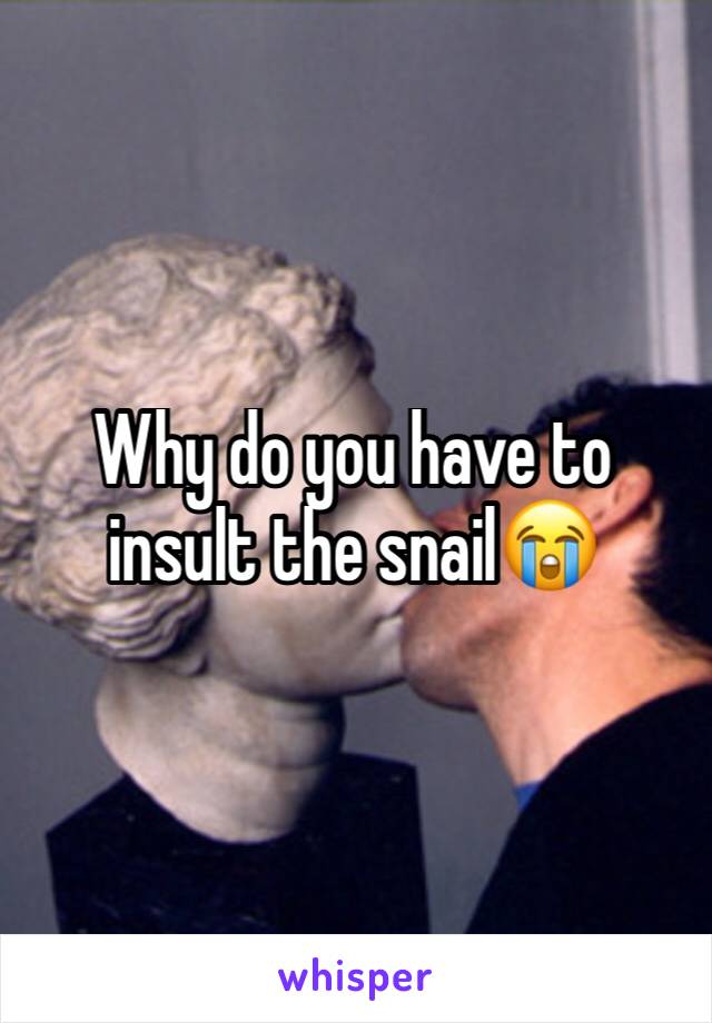 Why do you have to insult the snail😭