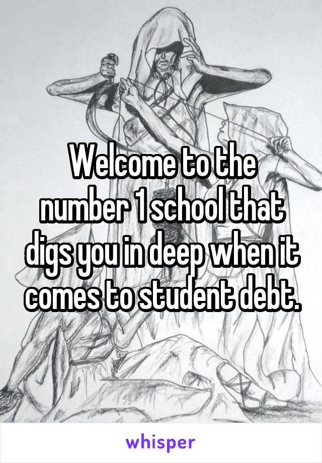 Welcome to the number 1 school that digs you in deep when it comes to student debt.