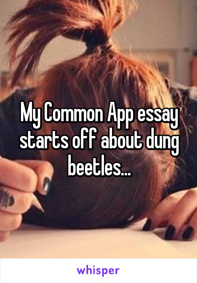 My Common App essay starts off about dung beetles...