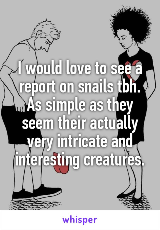 I would love to see a report on snails tbh. As simple as they seem their actually very intricate and interesting creatures.