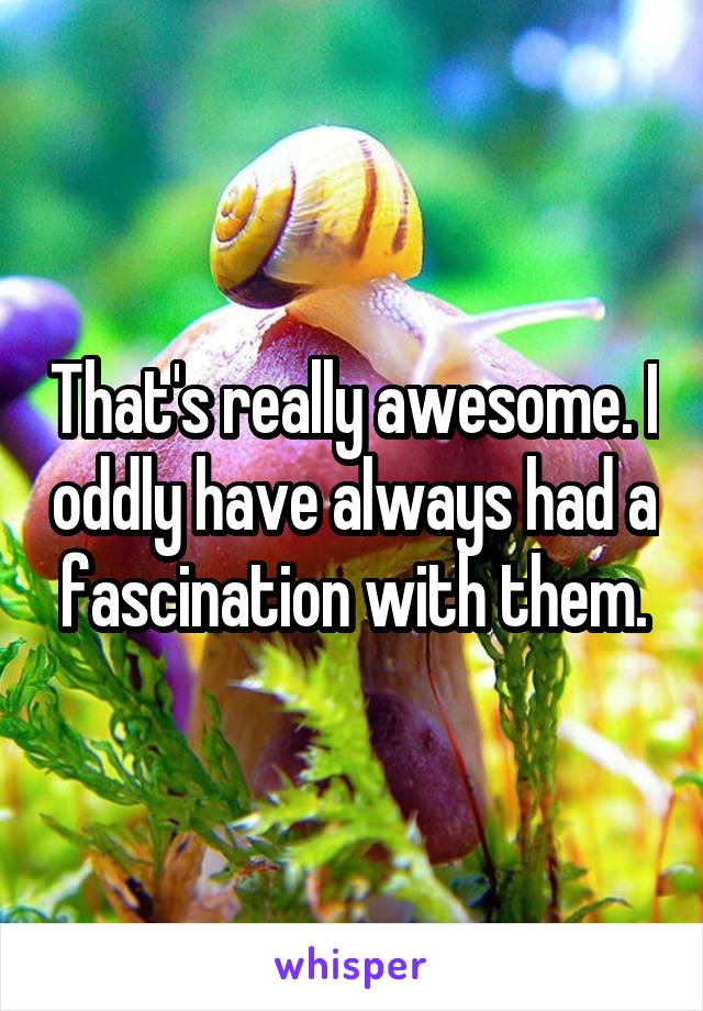 That's really awesome. I oddly have always had a fascination with them.