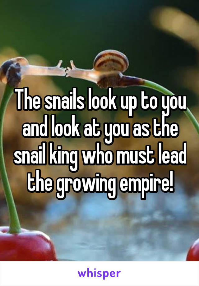 The snails look up to you and look at you as the snail king who must lead the growing empire!