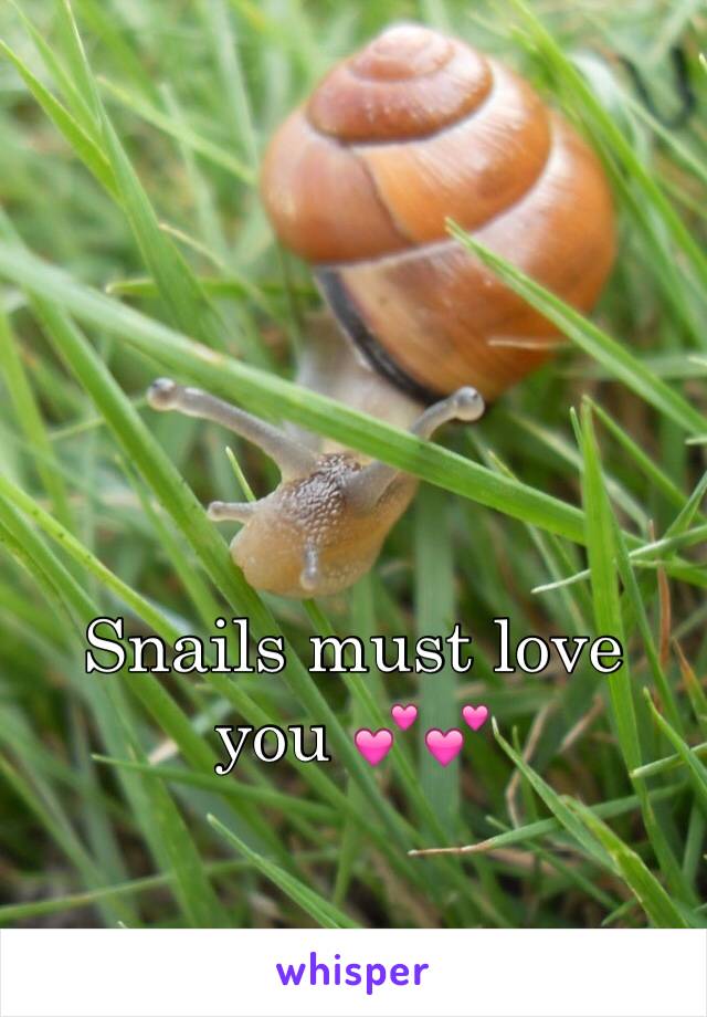 Snails must love you 💕💕