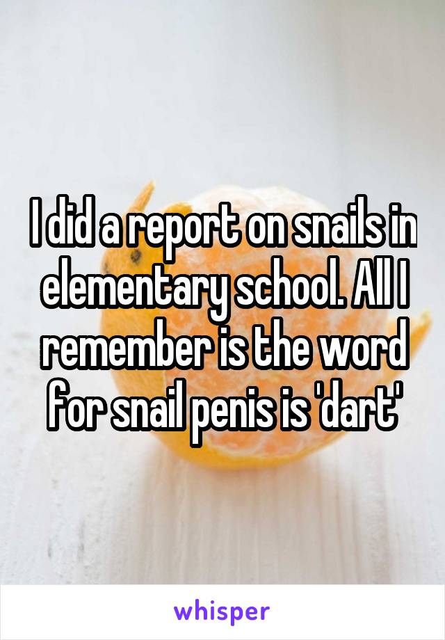 I did a report on snails in elementary school. All I remember is the word for snail penis is 'dart'