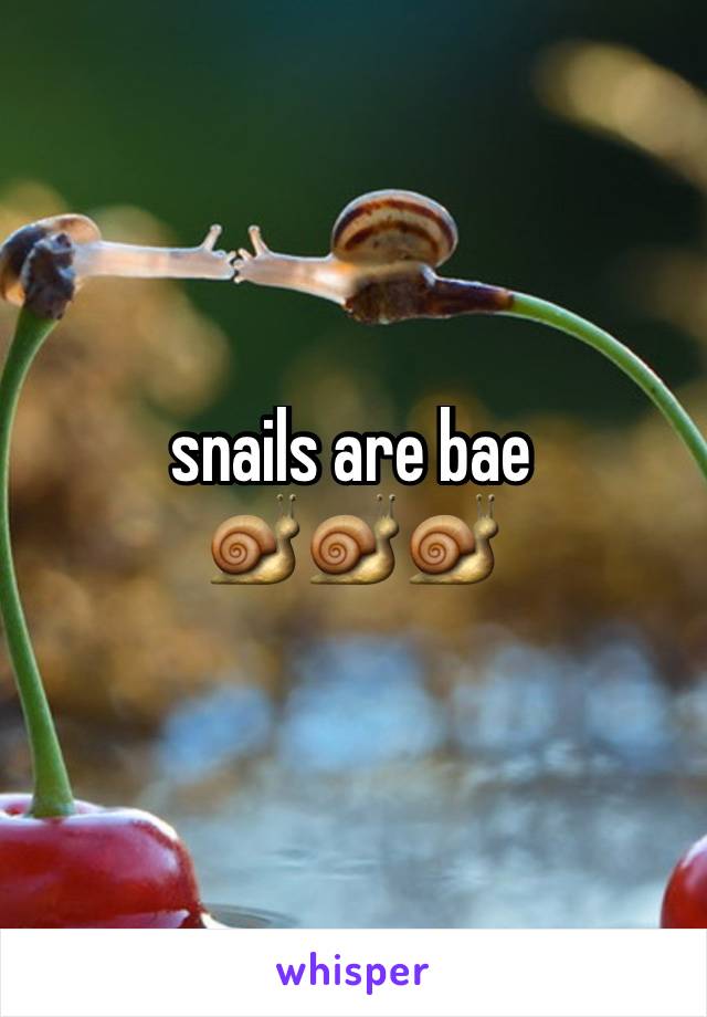 snails are bae
🐌🐌🐌