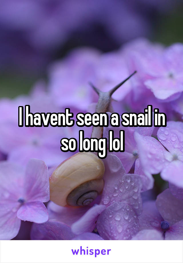 I havent seen a snail in so long lol