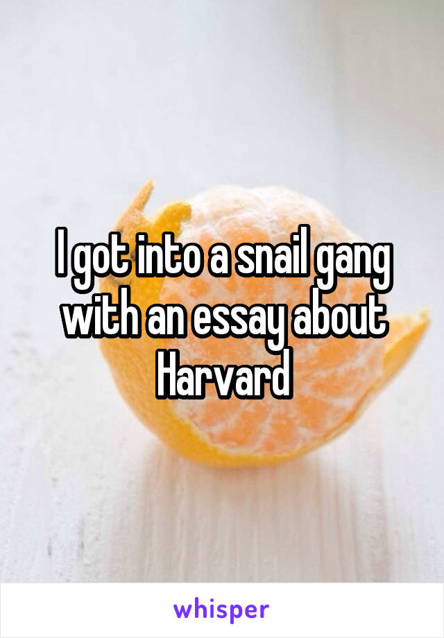 I got into a snail gang with an essay about Harvard