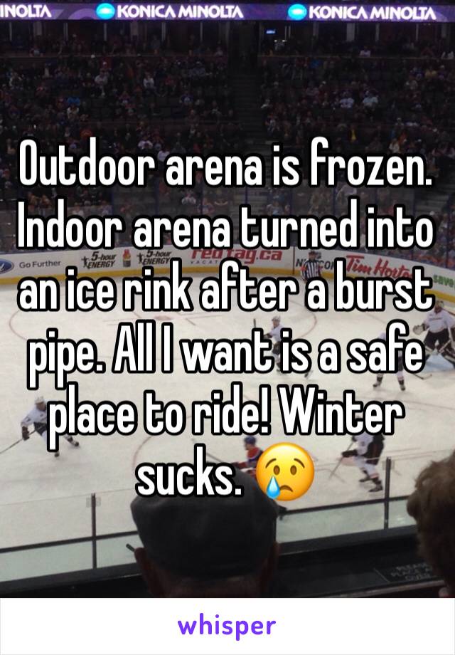 Outdoor arena is frozen. Indoor arena turned into an ice rink after a burst pipe. All I want is a safe place to ride! Winter sucks. 😢