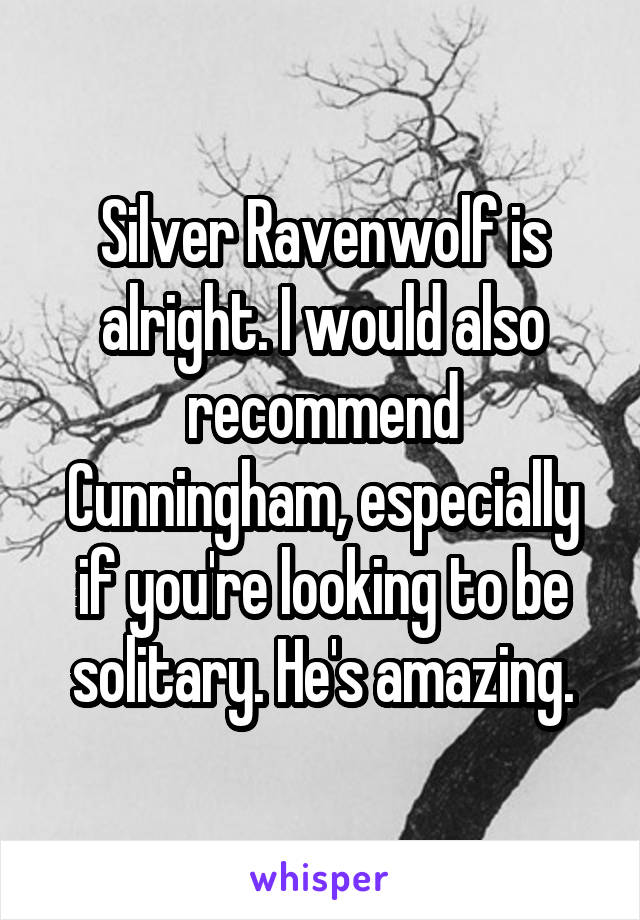 Silver Ravenwolf is alright. I would also recommend Cunningham, especially if you're looking to be solitary. He's amazing.
