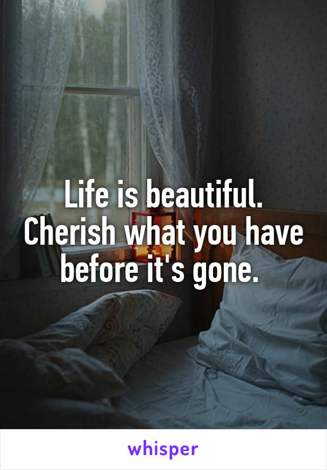 Life is beautiful. Cherish what you have before it's gone. 