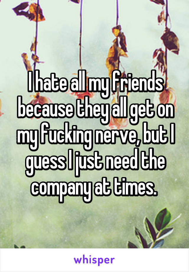 I hate all my friends because they all get on my fucking nerve, but I guess I just need the company at times. 