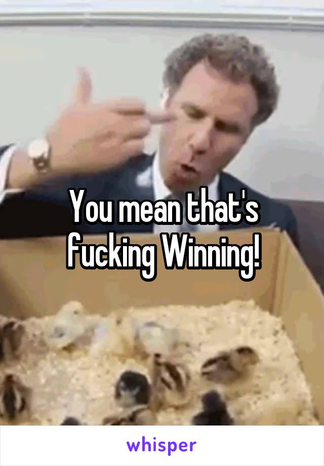 You mean that's fucking Winning!
