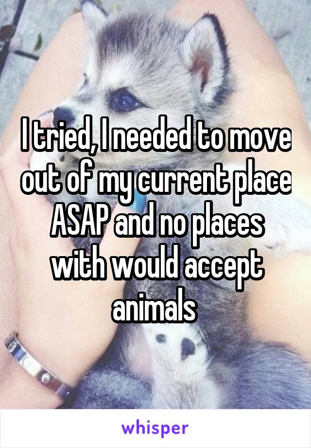 I tried, I needed to move out of my current place ASAP and no places with would accept animals 