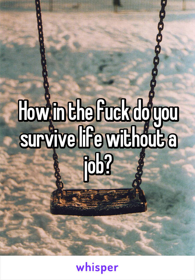 How in the fuck do you survive life without a job?