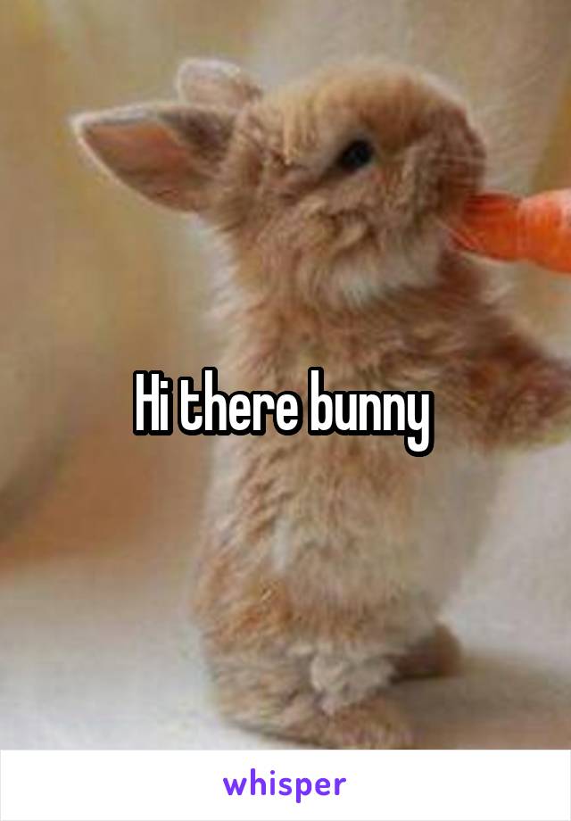 Hi there bunny 