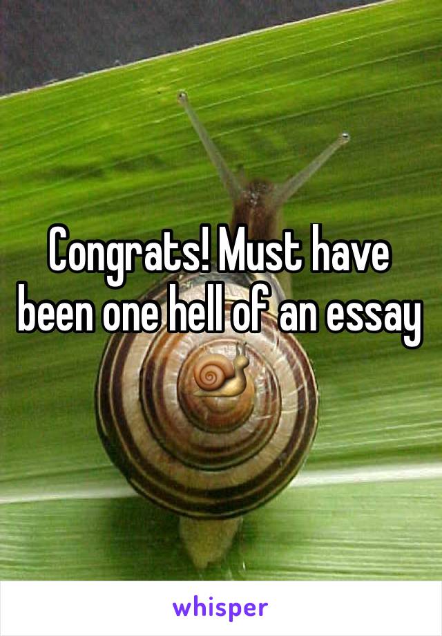 Congrats! Must have been one hell of an essay 🐌