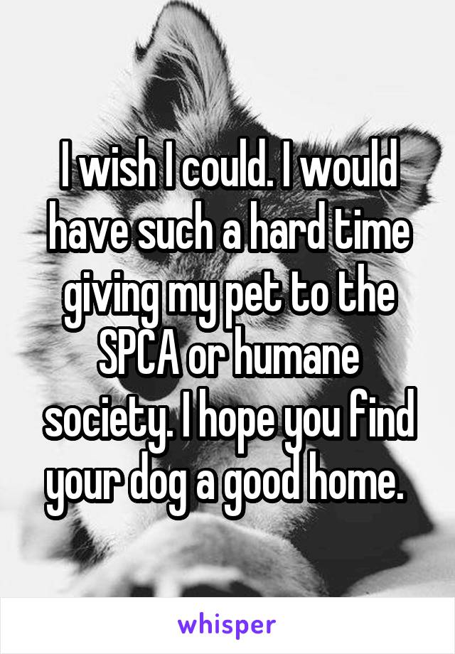 I wish I could. I would have such a hard time giving my pet to the SPCA or humane society. I hope you find your dog a good home. 