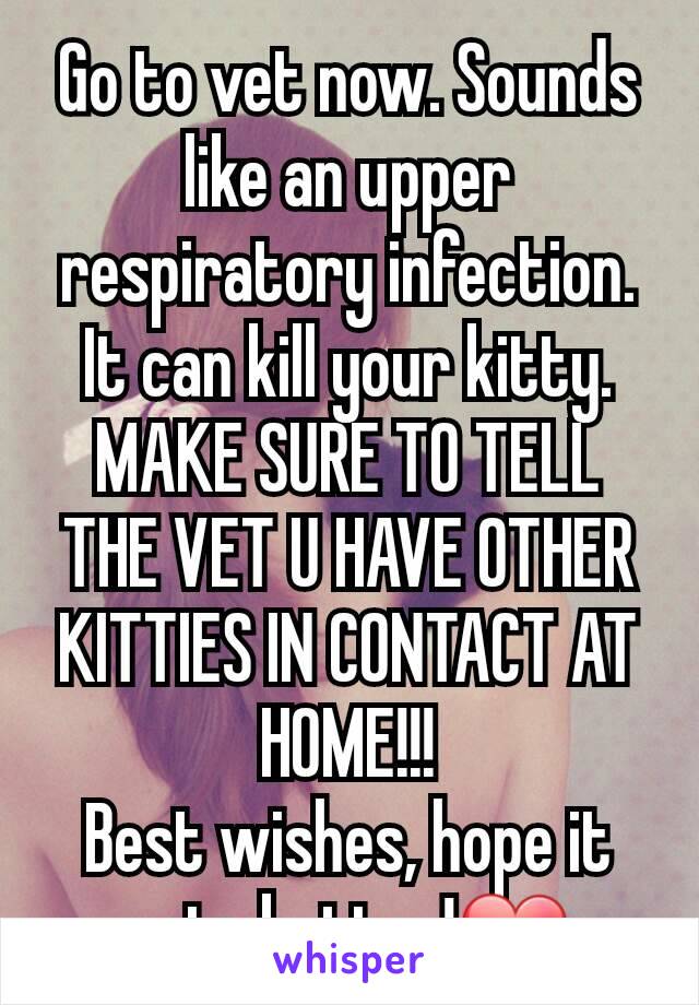 Go to vet now. Sounds like an upper respiratory infection. It can kill your kitty. MAKE SURE TO TELL THE VET U HAVE OTHER KITTIES IN CONTACT AT HOME!!!
Best wishes, hope it gets better!❤