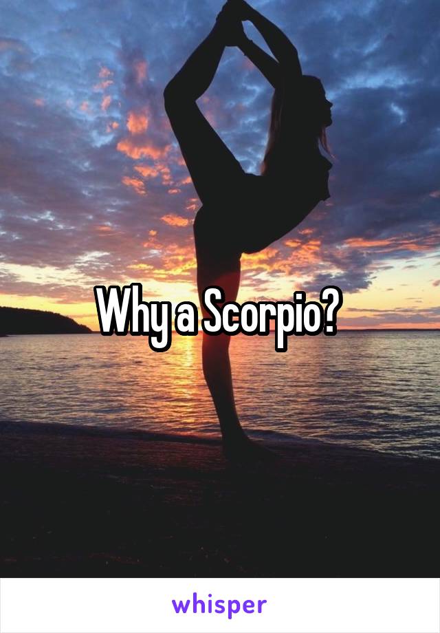 Why a Scorpio? 