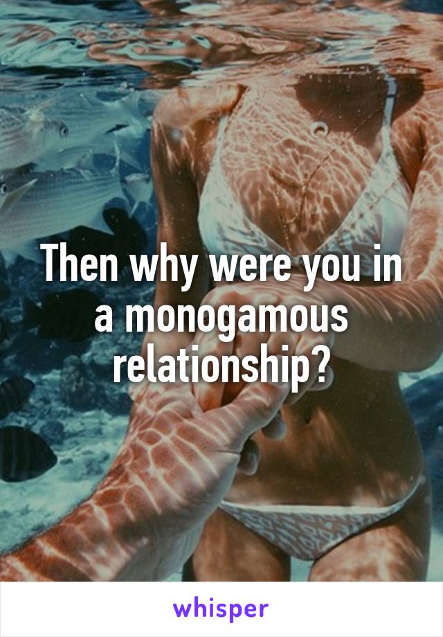 Then why were you in a monogamous relationship?