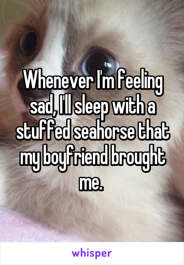 Whenever I'm feeling sad, I'll sleep with a stuffed seahorse that my boyfriend brought me. 