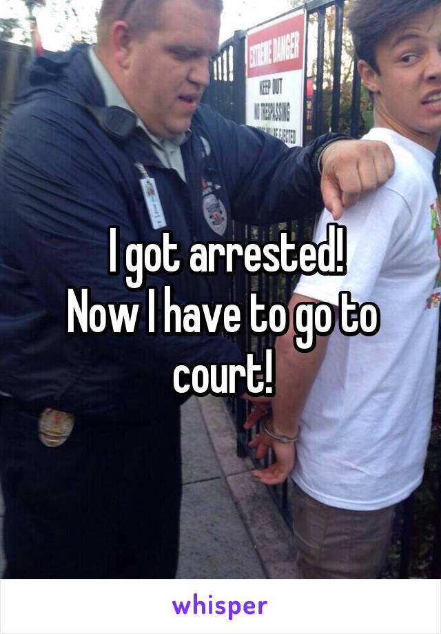  I got arrested!
Now I have to go to court!