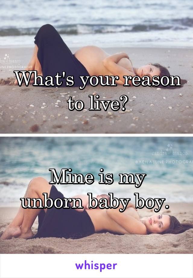 What's your reason to live?


Mine is my unborn baby boy. 