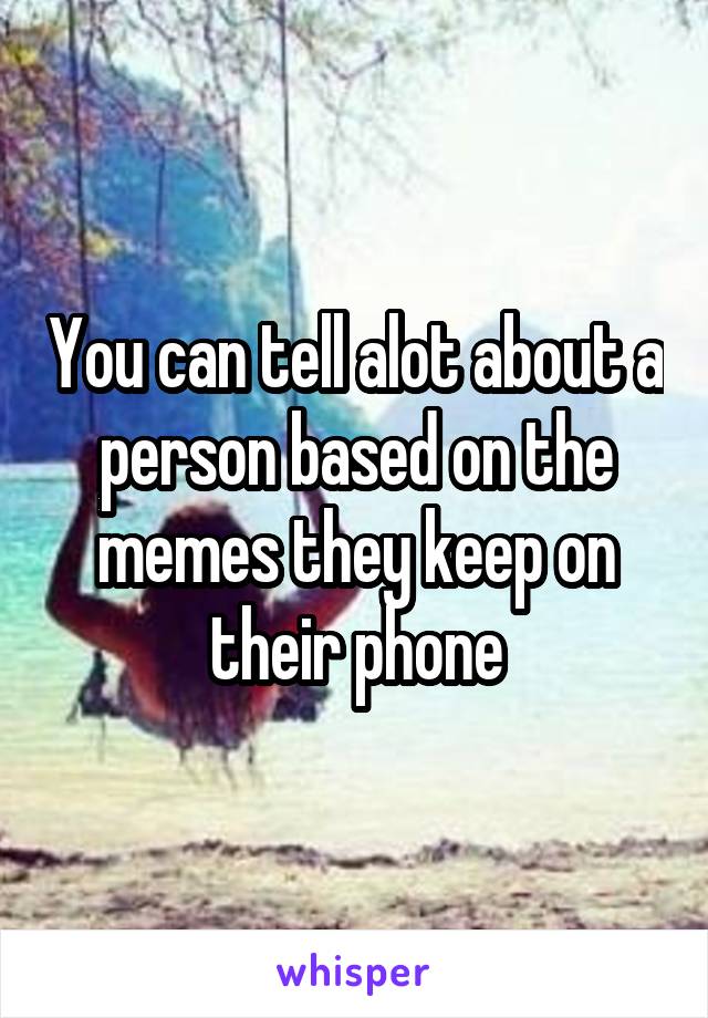 You can tell alot about a person based on the memes they keep on their phone