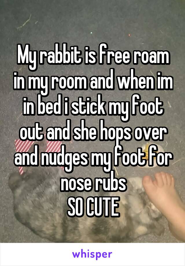 My rabbit is free roam in my room and when im in bed i stick my foot out and she hops over and nudges my foot for nose rubs
SO CUTE