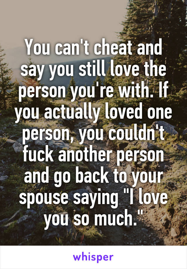 You can't cheat and say you still love the person you're with. If you actually loved one person, you couldn't fuck another person and go back to your spouse saying "I love you so much."