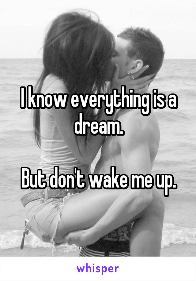 I know everything is a dream.

But don't wake me up.