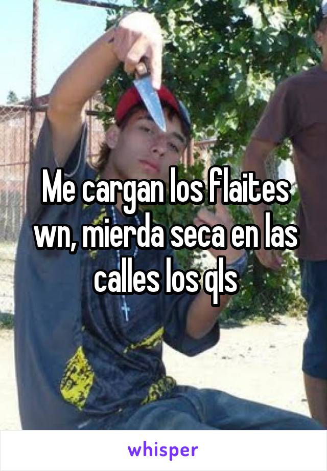 Me cargan los flaites wn, mierda seca en las calles los qls