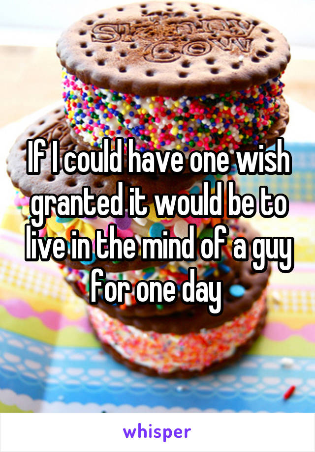 If I could have one wish granted it would be to live in the mind of a guy for one day 