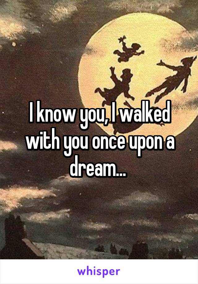 I know you, I walked with you once upon a dream... 