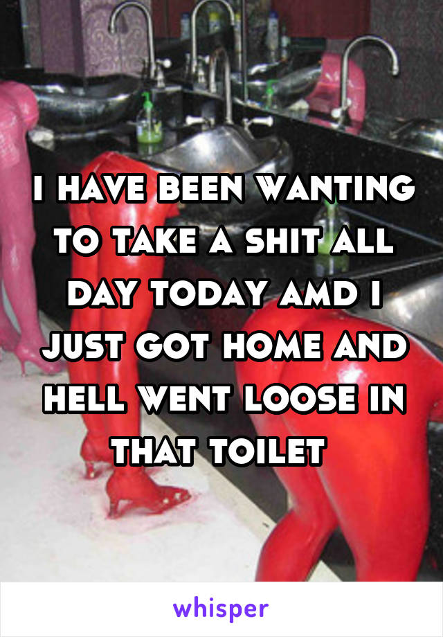 i have been wanting to take a shit all day today amd i just got home and hell went loose in that toilet 