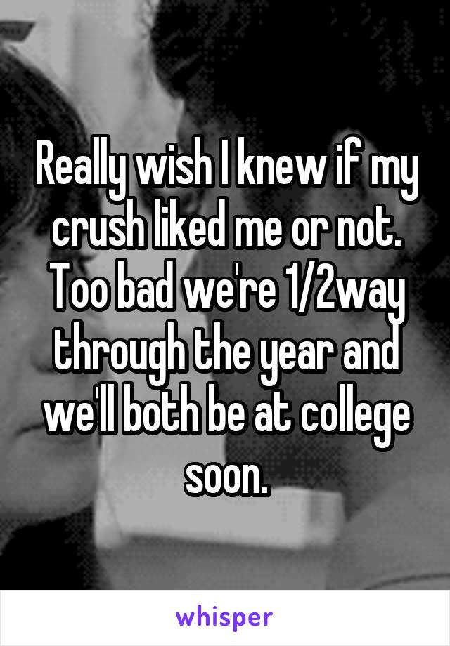 Really wish I knew if my crush liked me or not. Too bad we're 1/2way through the year and we'll both be at college soon.