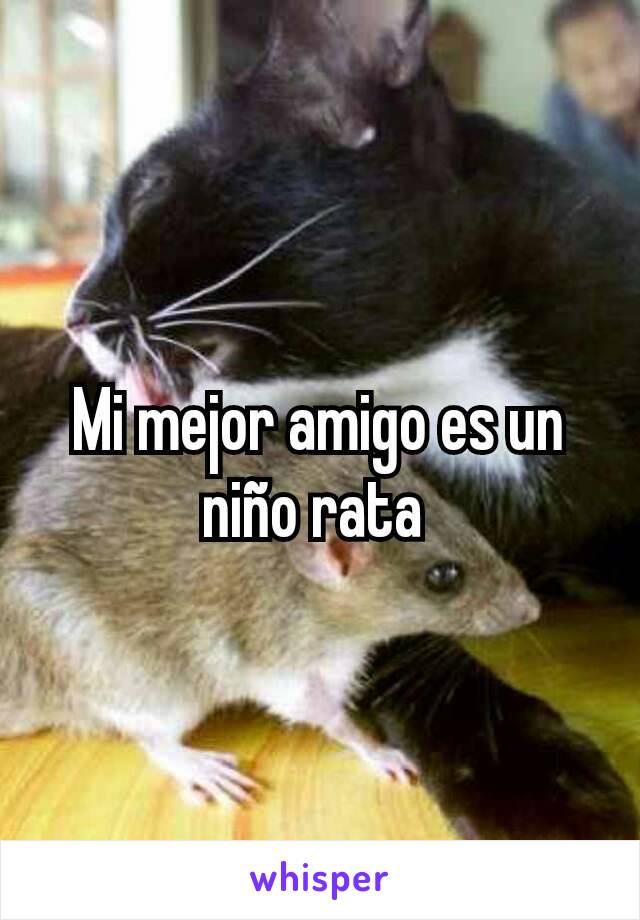 Mi mejor amigo es un niño rata 