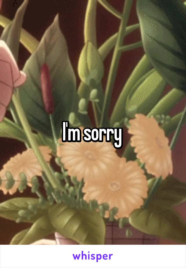 I'm sorry 