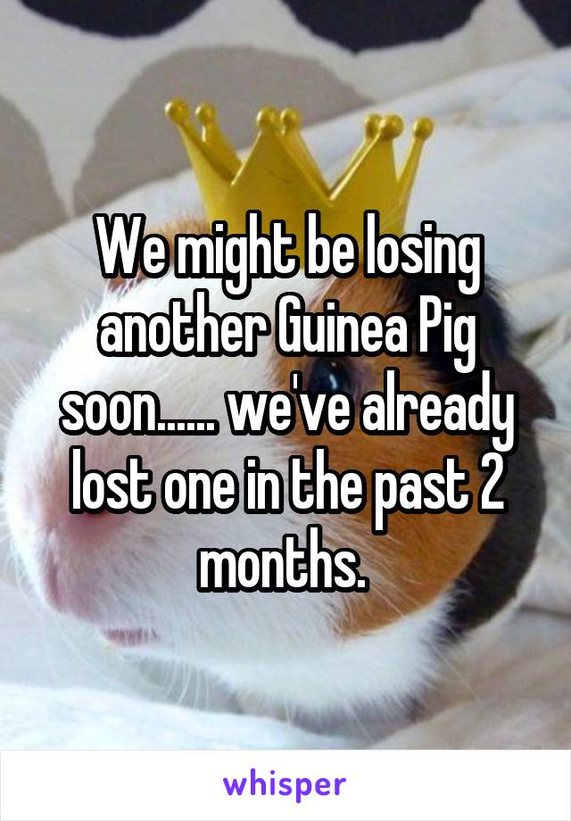 We might be losing another Guinea Pig soon...... we've already lost one in the past 2 months. 