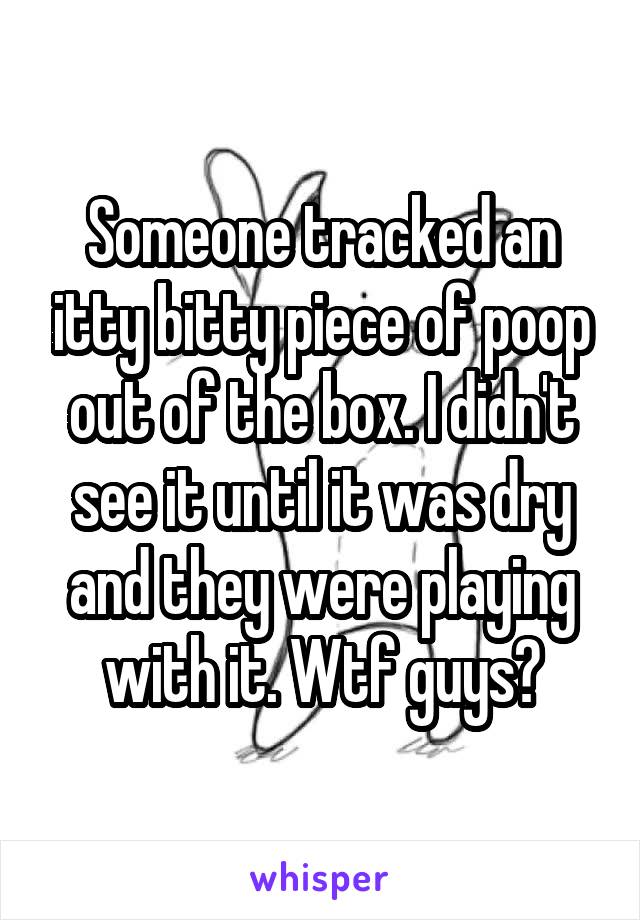 Someone tracked an itty bitty piece of poop out of the box. I didn't see it until it was dry and they were playing with it. Wtf guys?